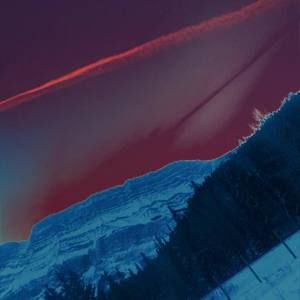 Meet your Posher, Austyn